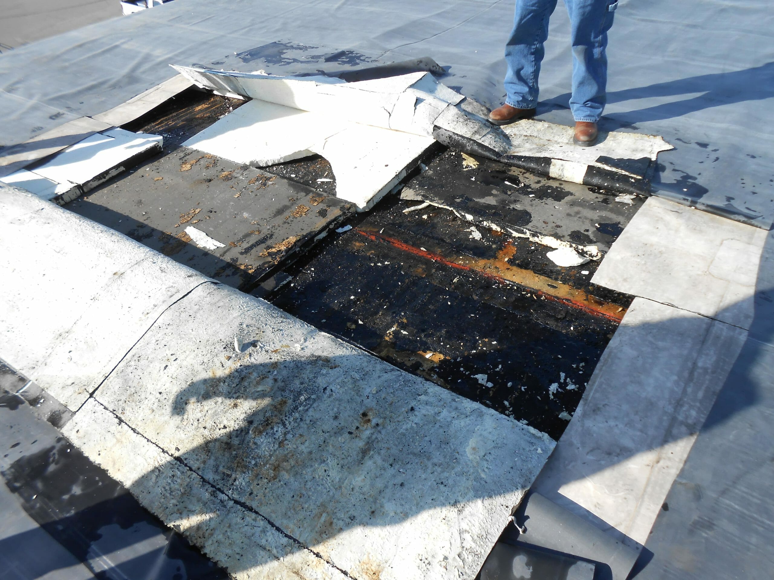 close up of a rotted, damaged roof